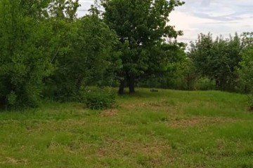 Фото №2: Земельный участок под ИЖС 4.5 сот. - Кубанская Нива, мкр. Прикубанский внутригородской округ, ул. Зелёная, 986