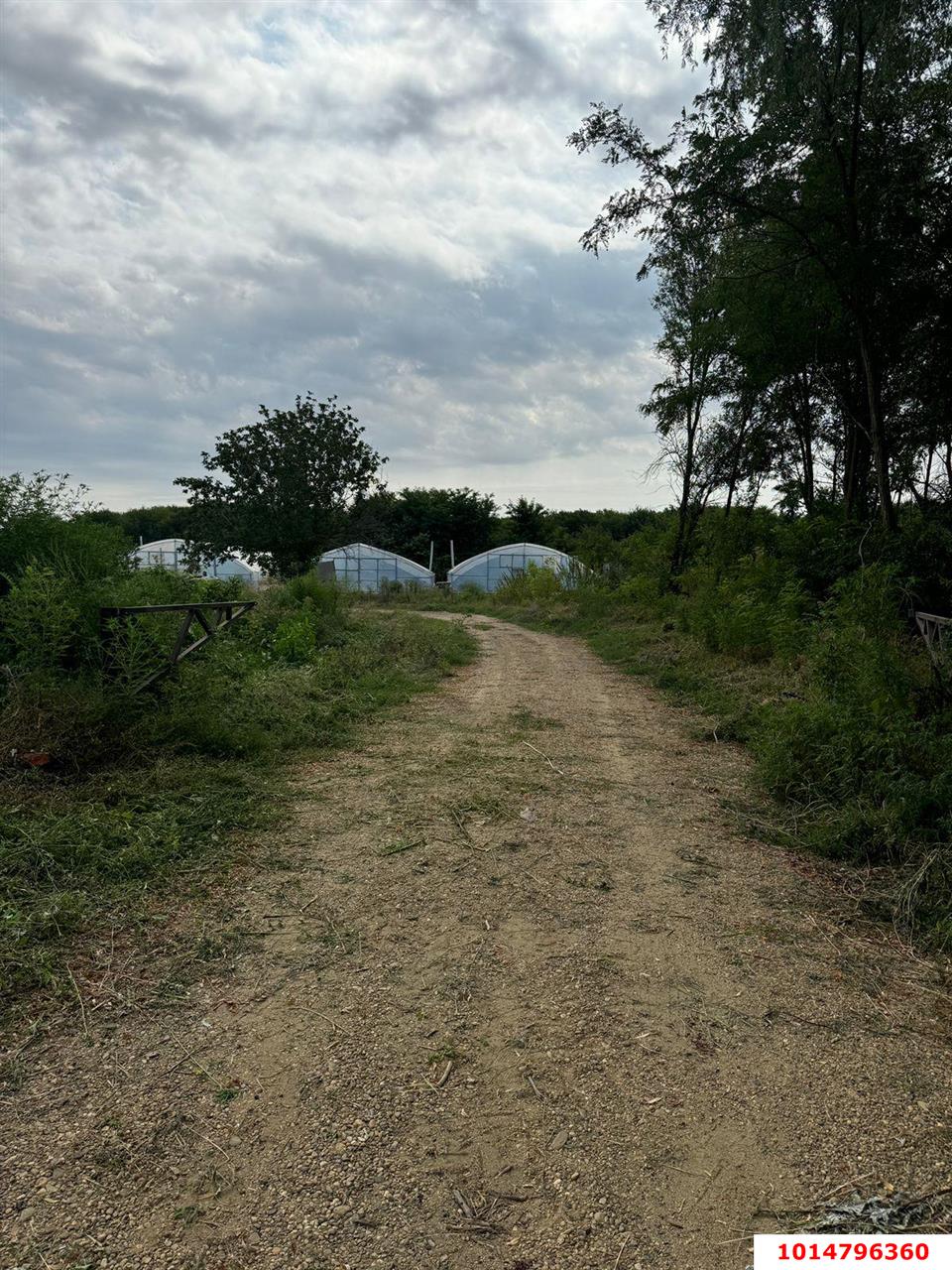 Фото №8: Земельный участок под ИЖС 50 сот. - Нижний