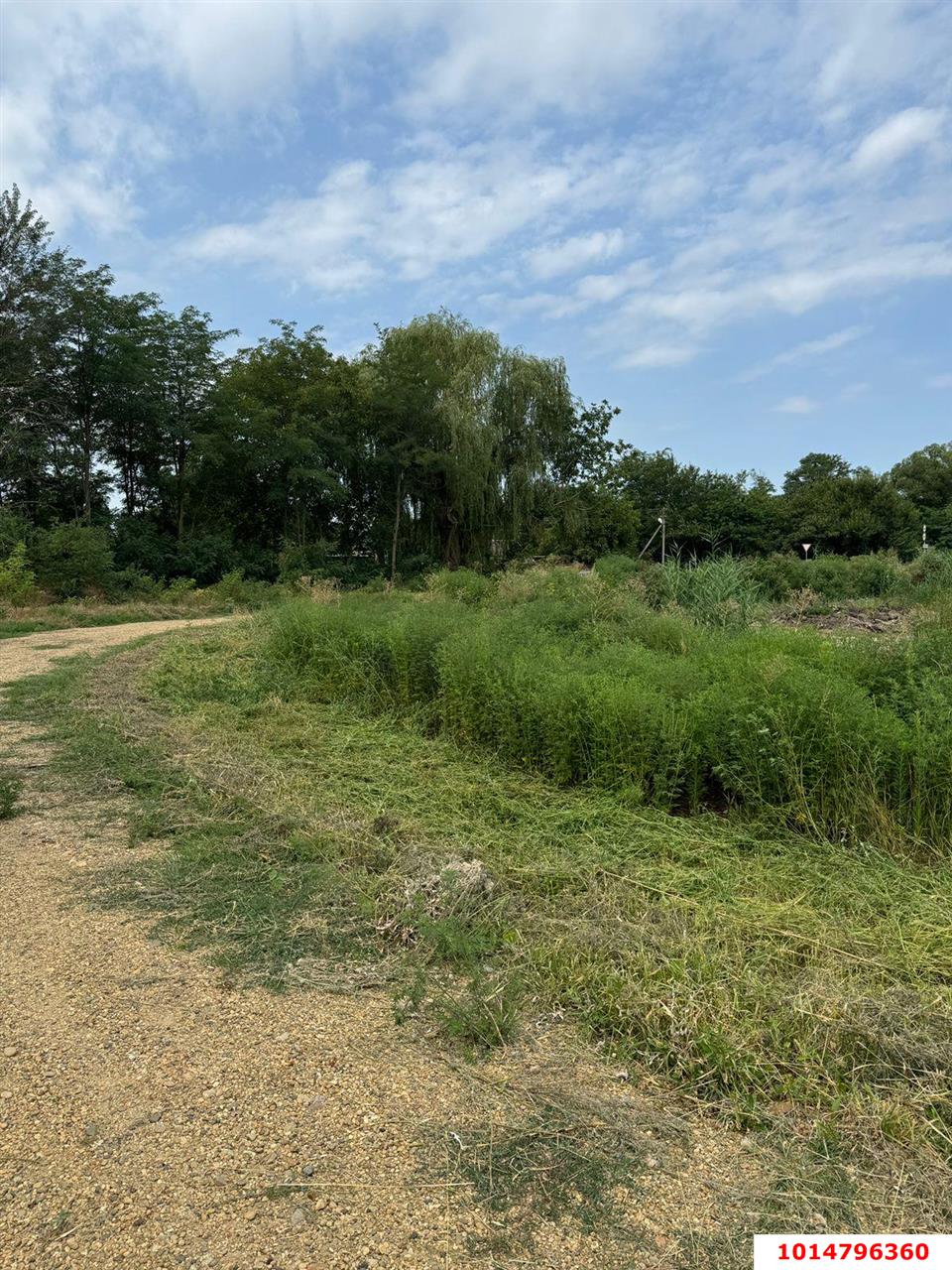 Фото №3: Земельный участок под ИЖС 50 сот. - Нижний