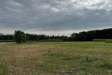 Фото №5: Земельный участок 50 сот. - Нижний, 