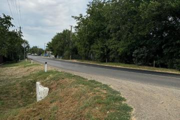 Фото №4: Земельный участок 38 сот. - Нижний, 