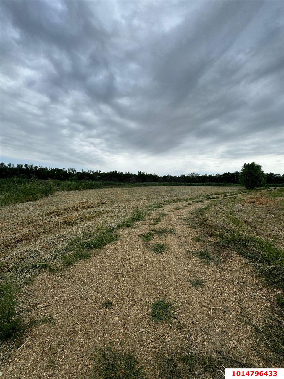 Фото №7: Земельный участок под ИЖС 38 сот. - Нижний