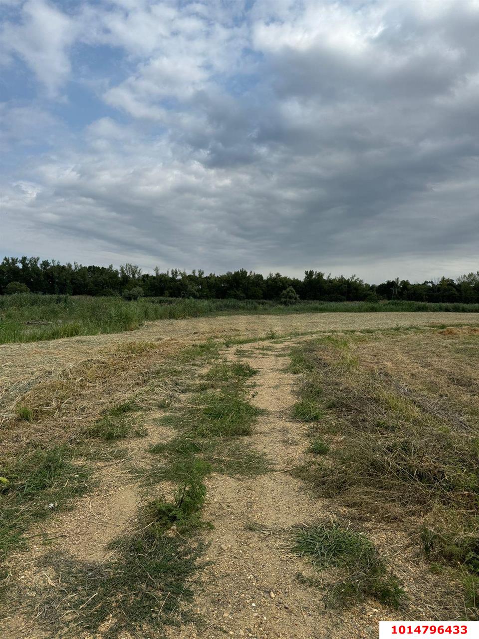 Фото №9: Земельный участок под ИЖС 38 сот. - Нижний