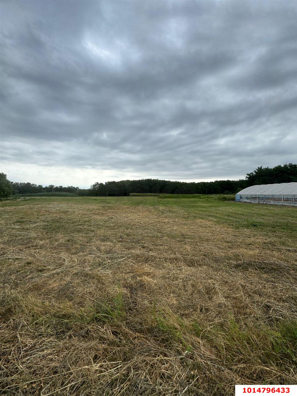 Фото №6: Земельный участок под ИЖС 38 сот. - Нижний