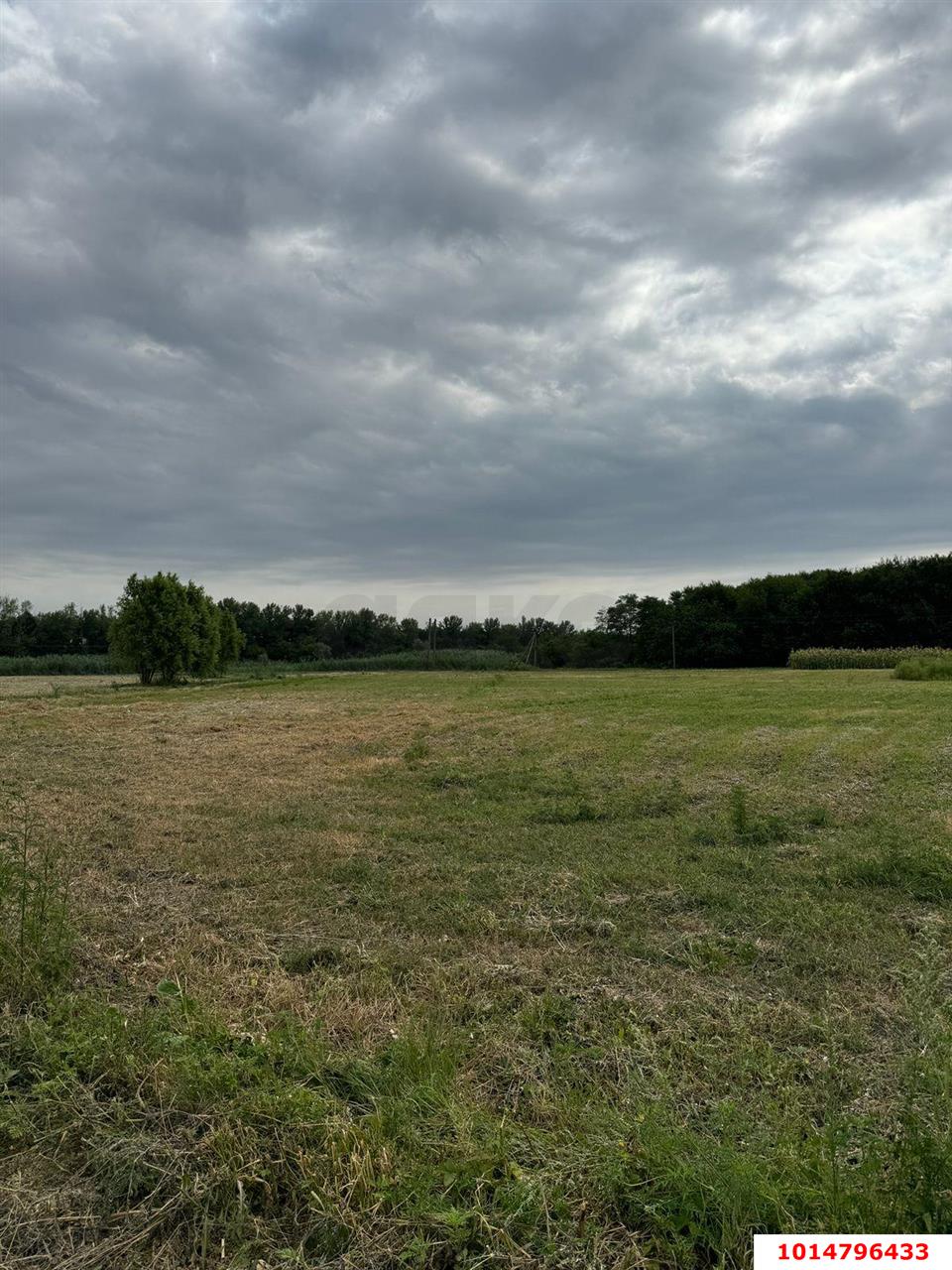 Фото №2: Земельный участок под ИЖС 38 сот. - Нижний