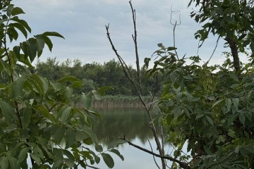 Фото №5: Земельный участок под ИЖС 38 сот. - Нижний, 