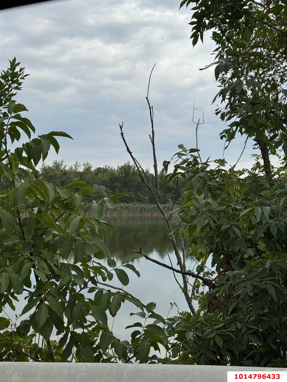 Фото №5: Земельный участок под ИЖС 38 сот. - Нижний