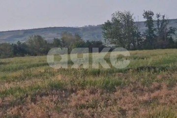 Фото №4: Личное подсобное хозяйство - Марьино, 