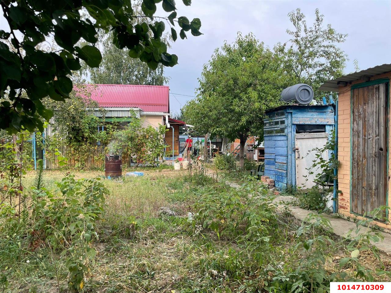 Фото №15: Дом 30 м² + 6 сот. - Берег Кубани ВНИИ риса, мкр. Прикубанский внутригородской округ, ул. Алычёвая