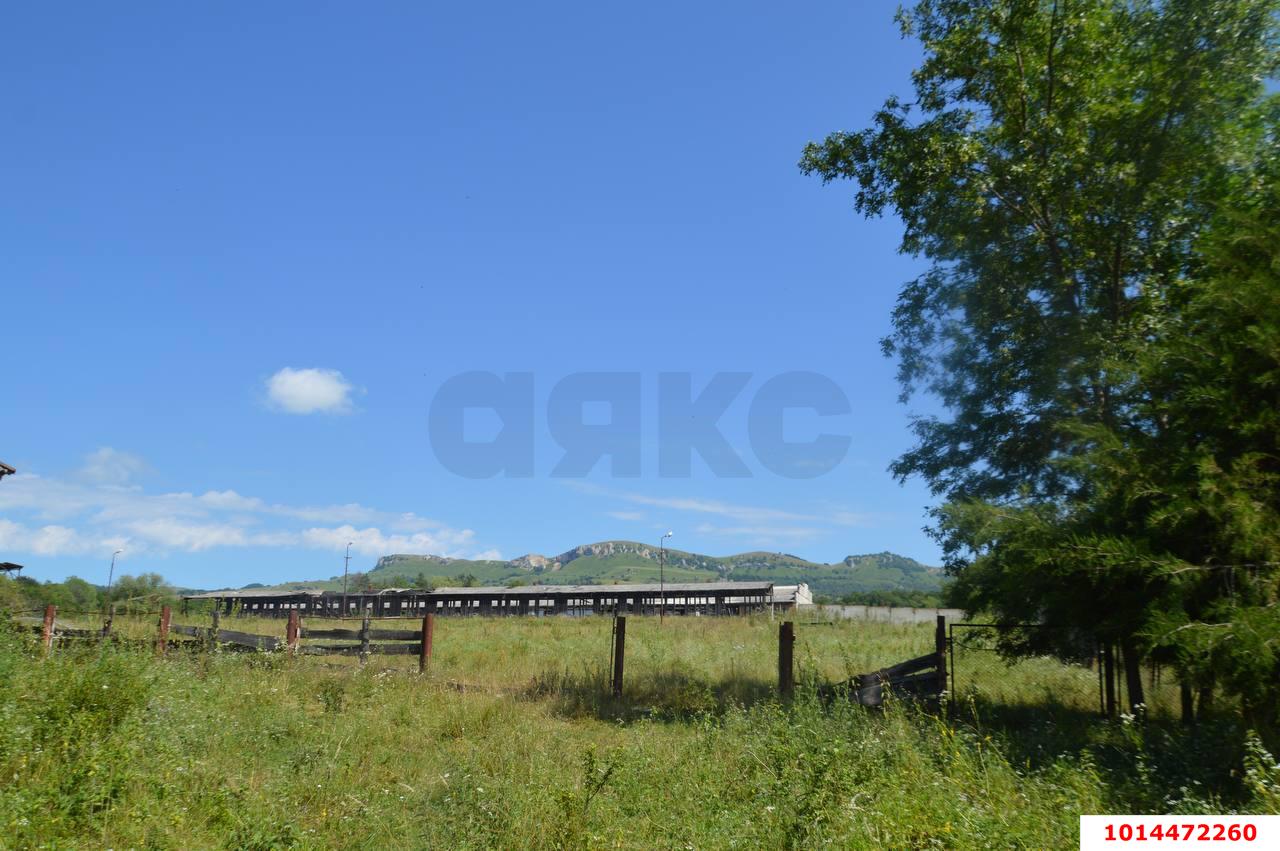 Фото №13: Коммерция 1230 м² - Псебай, ул. Трудовая, 1