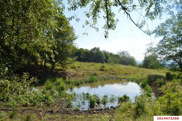 Фото №2: Отдельное здание 1230 м² - Псебай, ул. Трудовая, 1