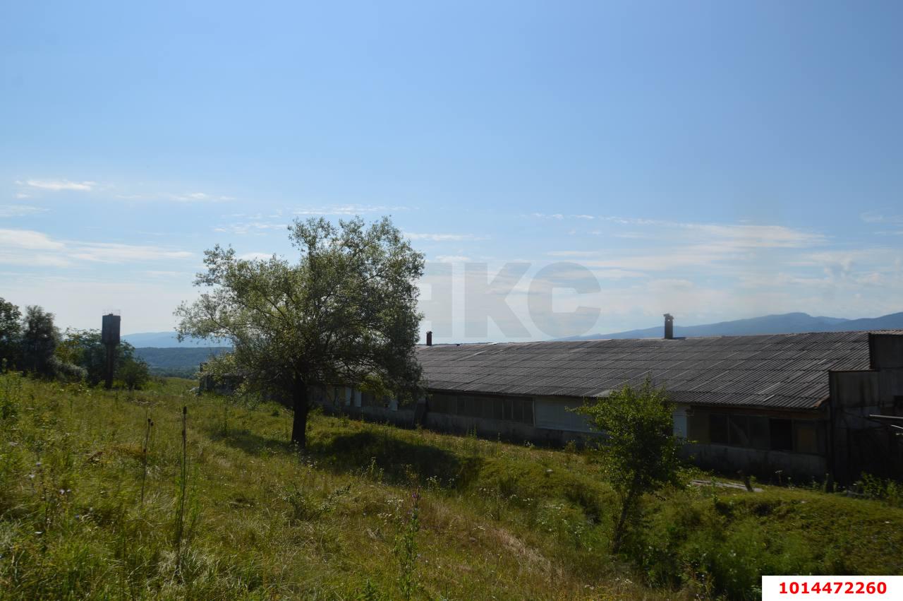Фото №7: Отдельное здание 1230 м² - Псебай, ул. Трудовая, 1