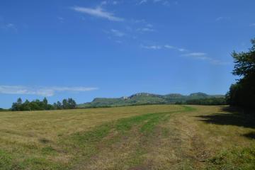 Фото №4: Коммерция 1230 м² - Псебай, ул. Трудовая, 1