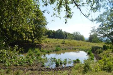 Фото №1: Коммерция 1230 м² - Псебай, ул. Трудовая, 1