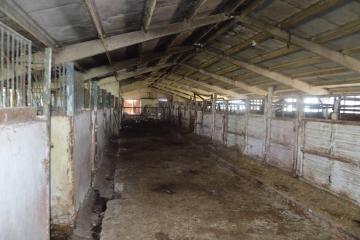 Фото №5: Коммерция 1230 м² - Псебай, ул. Трудовая, 1