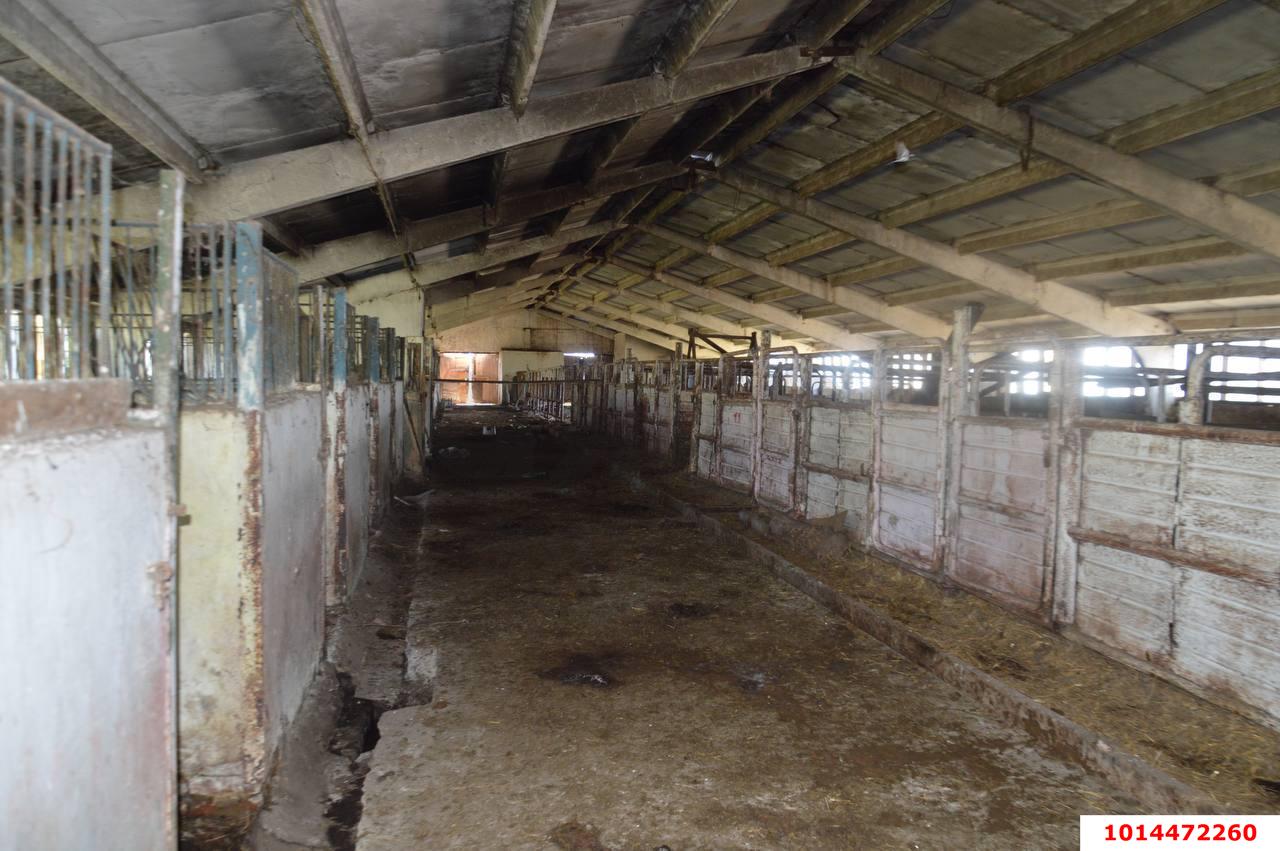 Фото №5: Коммерция 1230 м² - Псебай, ул. Трудовая, 1