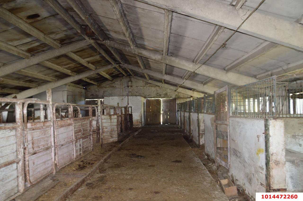 Фото №15: Коммерция 1230 м² - Псебай, ул. Трудовая, 1