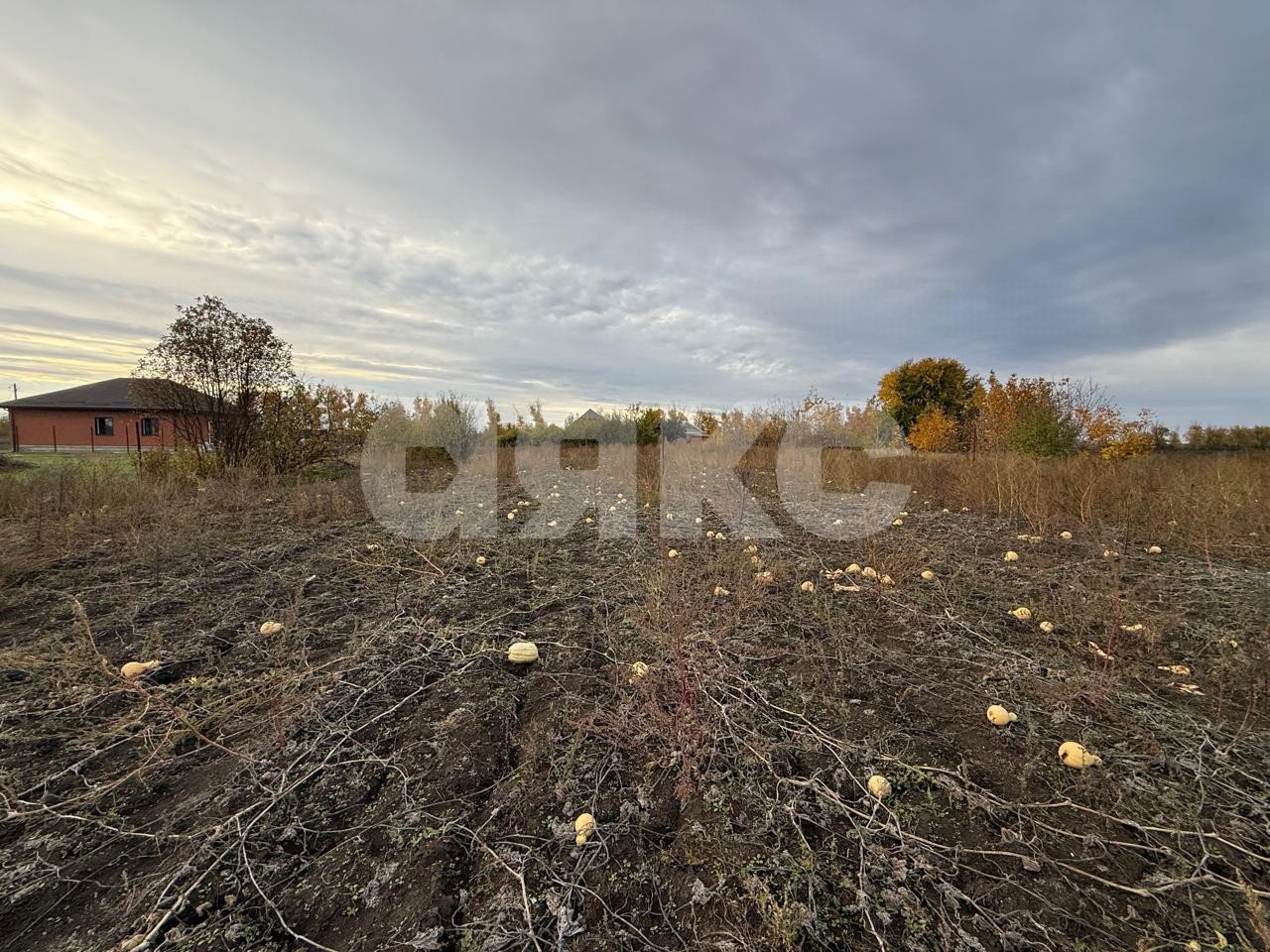 Фото №1: Земельный участок под ИЖС 15 сот. - Платнировская