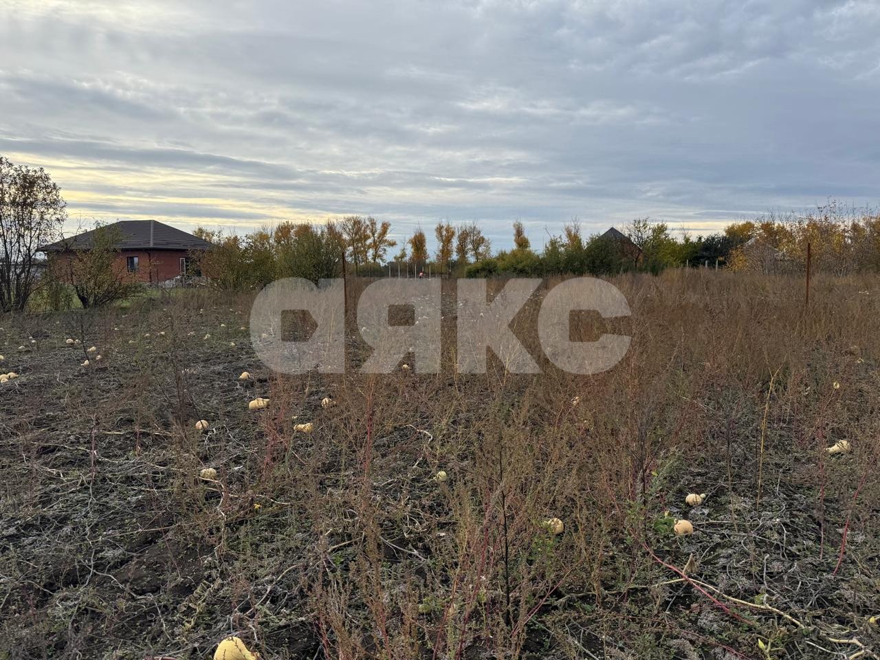 Фото №3: Земельный участок под ИЖС 15 сот. - Платнировская