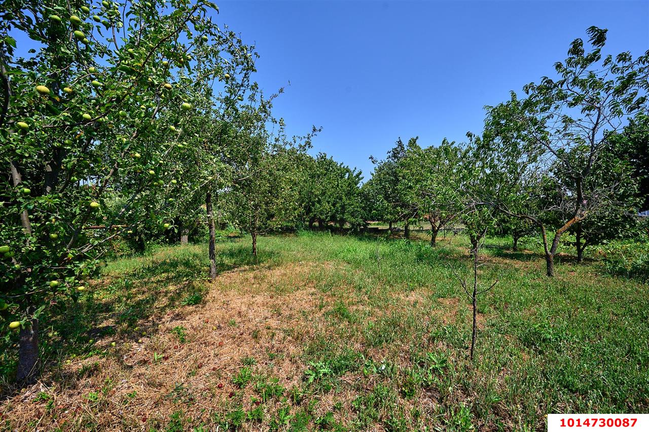 Фото №7: Дом 217 м² + 14.5 сот. - Старокорсунская, мкр. Карасунский внутригородской округ, ул. Корсунская, 185/1