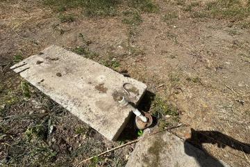 Фото №4: Земельный участок 6.37 сот. - Южный, ул. Краснодарская, 10