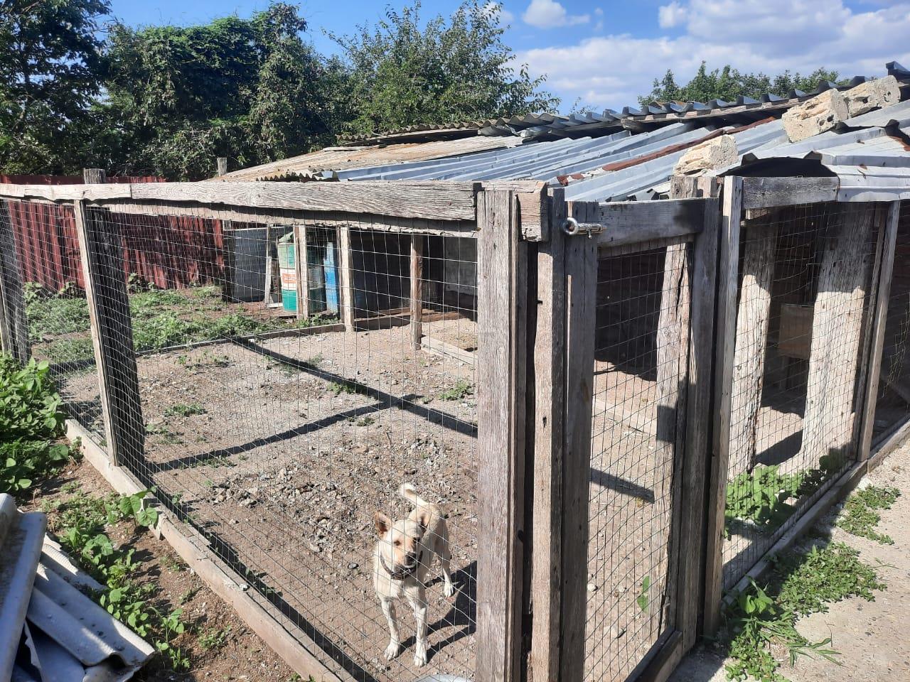 Фото №10: Дом 111 м² + 19 сот. - Львовское, пер. Северный, 5