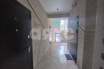 Фото №5: Студия 30 м² - Сочи, п. Вардане, ул. Львовская, 70А