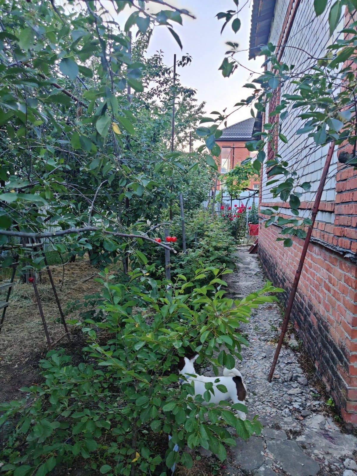 Фото №9: Дом 120 м² + 4.06 сот. - Знаменский, Карасунский внутригородской округ, мкр. СТ Чайка, ул. Сливовая, 22