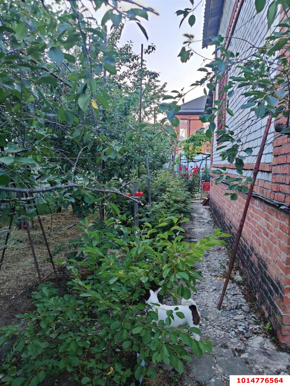 Фото №9: Дом 120 м² + 4.06 сот. - Знаменский, СТ Чайка, ул. Сливовая, 22