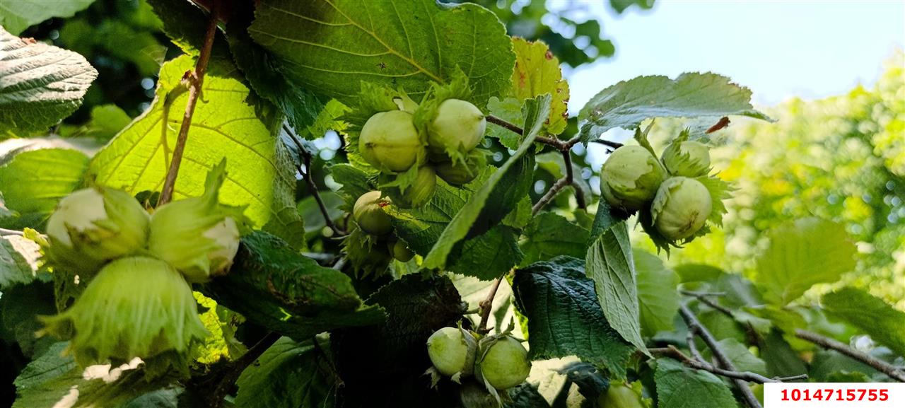 Фото №16: Дом 52 м² + 48.6 сот. - Калининский, ул. Северная, 20