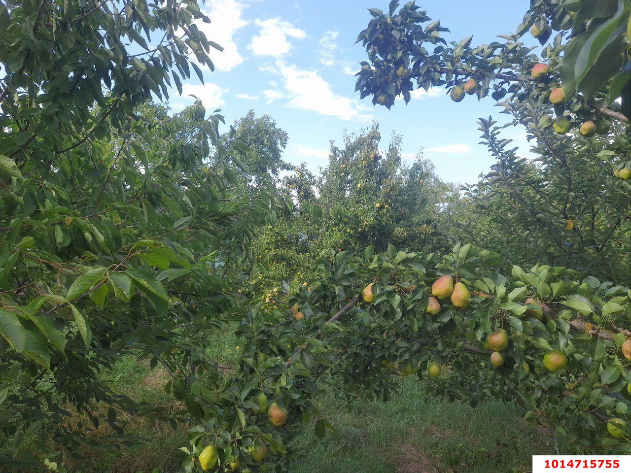 Фото №18: Дом 52 м² + 48.6 сот. - Калининский, ул. Северная, 20