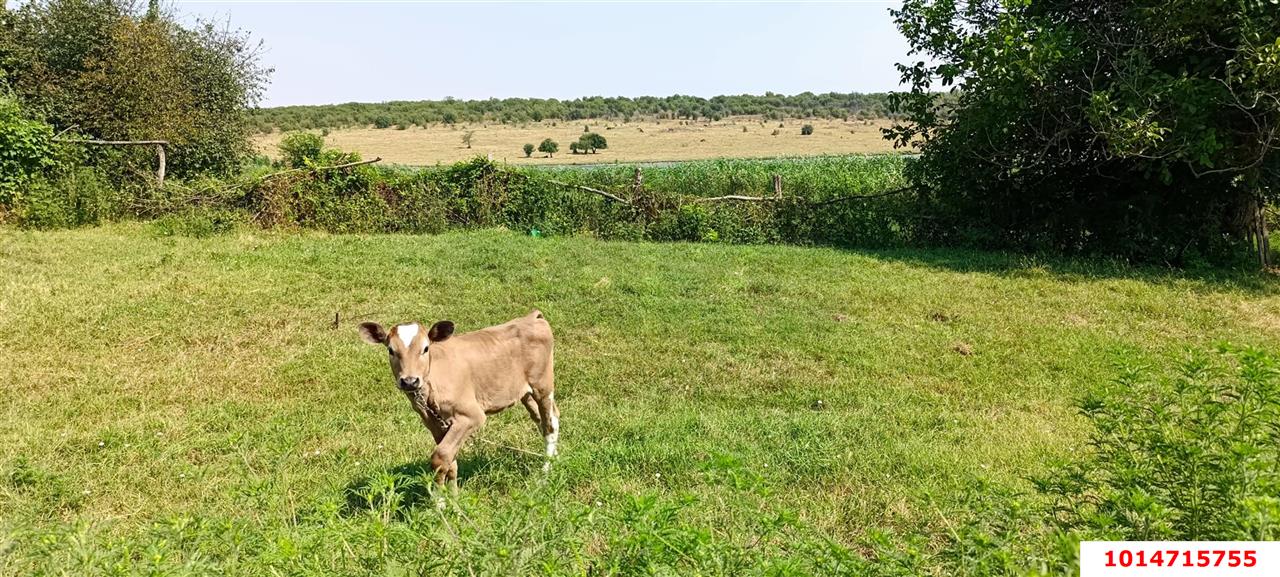 Фото №19: Дом 52 м² + 48.6 сот. - Калининский, ул. Северная, 20