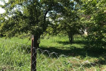 Фото №4: Земельный участок 6.9 сот. - СНТ Микробиолог, мкр. Прикубанский внутригородской округ, ул. Виноградная, 34