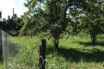 Фото №5: Участок садоводство 6.9 сот. - СНТ Микробиолог, мкр. Прикубанский внутригородской округ, ул. Виноградная, 34