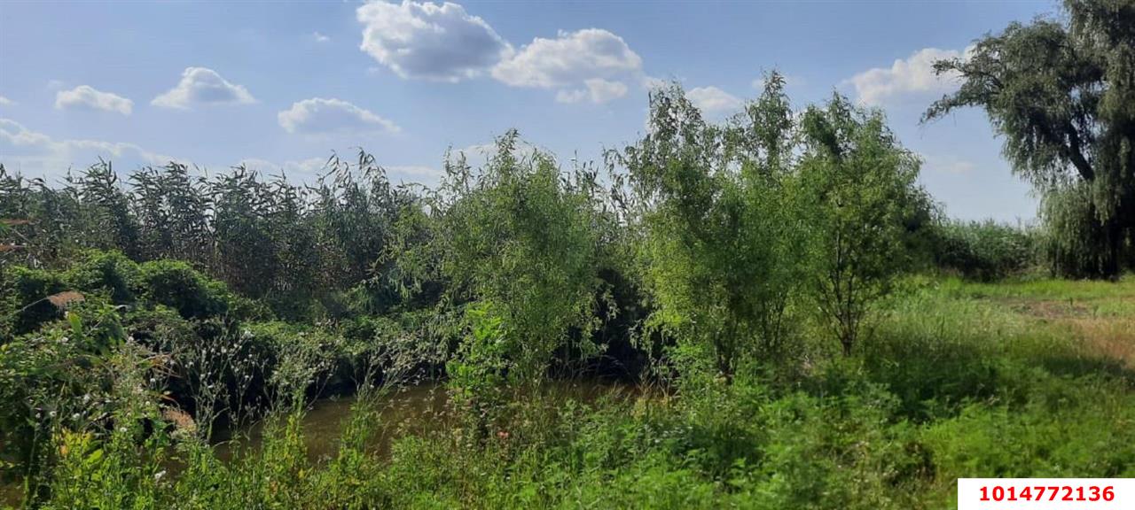 Фото №11: Земельный участок 20 сот. - Старомышастовская, ул. Пролетарская, 35