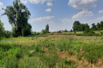 Фото №4: Земельный участок 20 сот. - Старомышастовская, ул. Пролетарская, 35