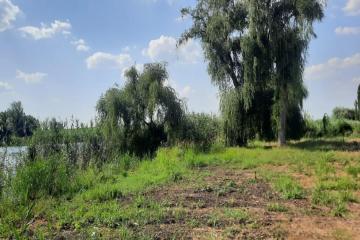 Фото №2: Земельный участок 20 сот. - Старомышастовская, ул. Пролетарская, 35