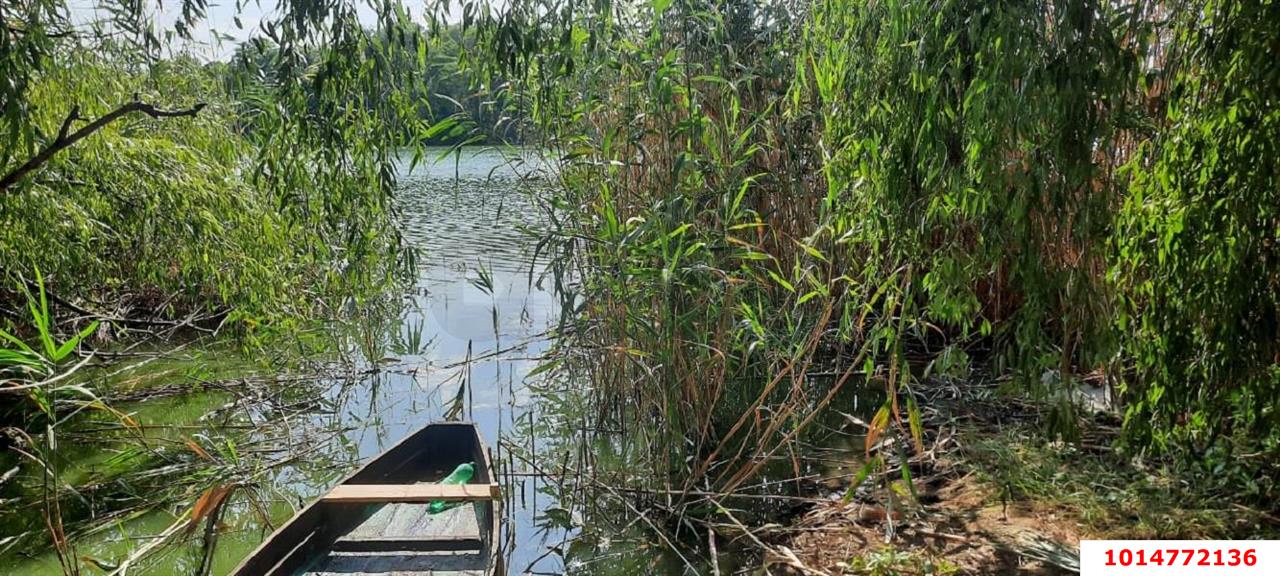 Фото №14: Земельный участок 20 сот. - Старомышастовская, ул. Пролетарская, 35