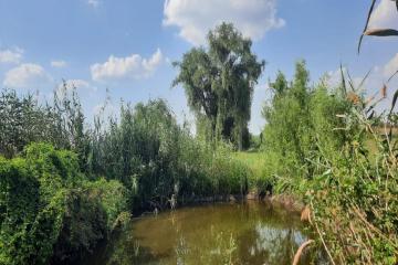 Фото №5: Земельный участок 20 сот. - Старомышастовская, ул. Пролетарская, 35