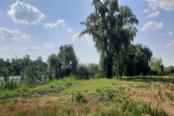 Фото №3: Земельный участок 20 сот. - Старомышастовская, ул. Пролетарская, 35