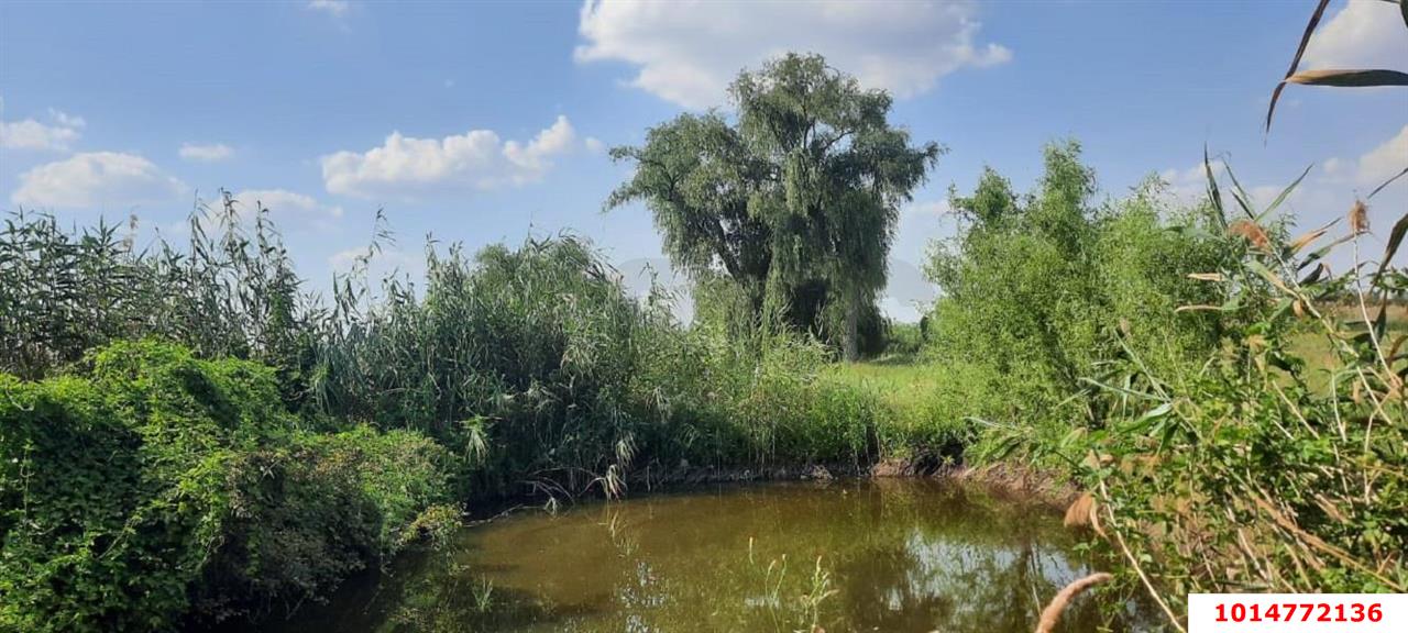 Фото №5: Личное подсобное хозяйство 20 сот. - Старомышастовская, ул. Пролетарская, 35