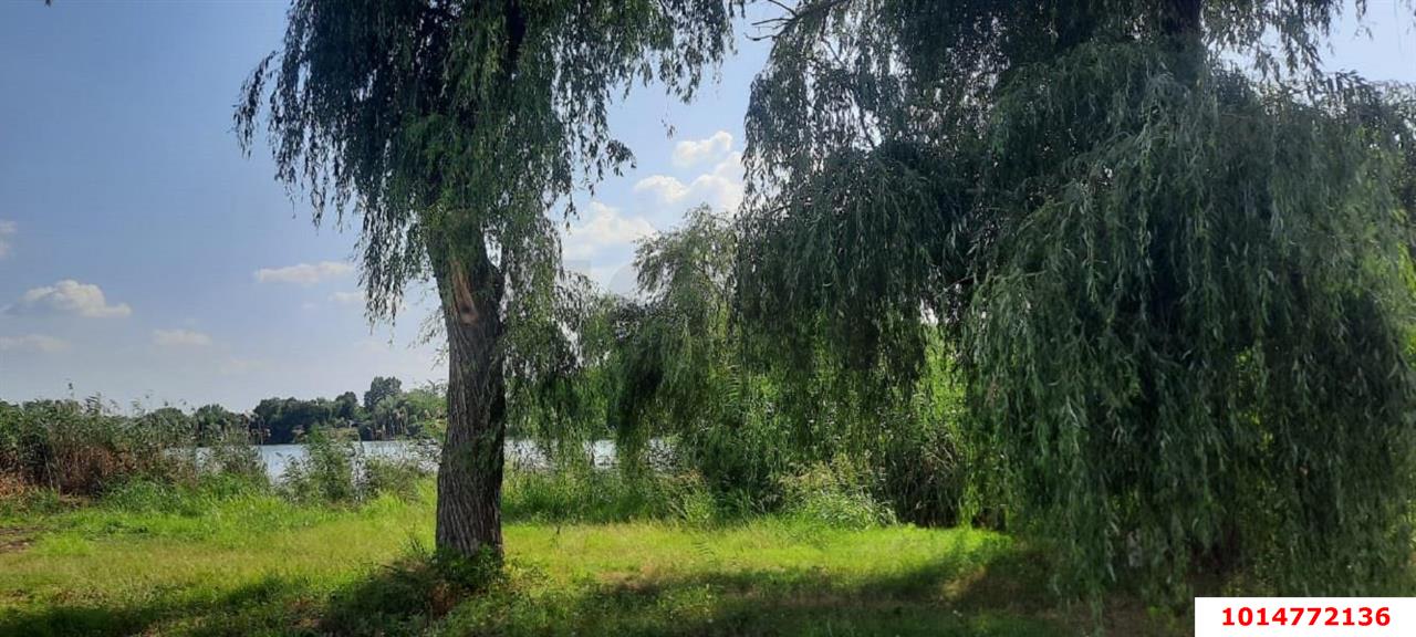 Фото №16: Земельный участок 20 сот. - Старомышастовская, ул. Пролетарская, 35