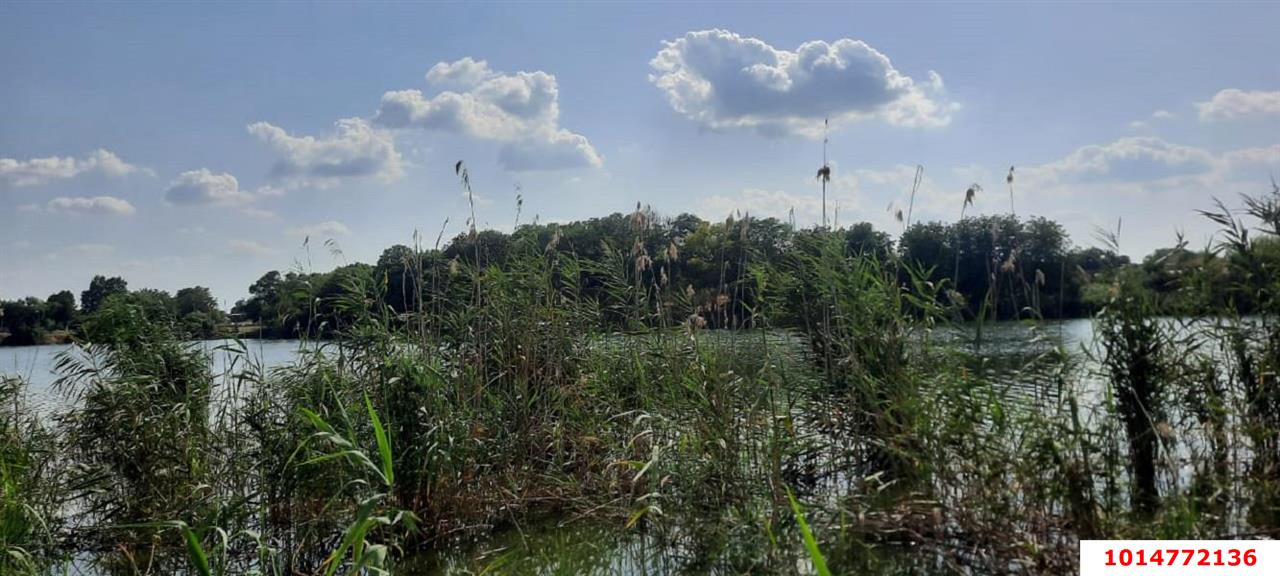 Фото №9: Земельный участок 20 сот. - Старомышастовская, ул. Пролетарская, 35