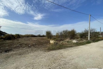 Фото №4: Личное подсобное хозяйство 10 сот. - Варениковская, ул. Песчаная, 16