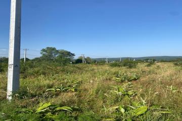 Фото №5: Земельный участок 17 сот. - Майкоп, мкр. Старый город, ул. Ломоносова, 5