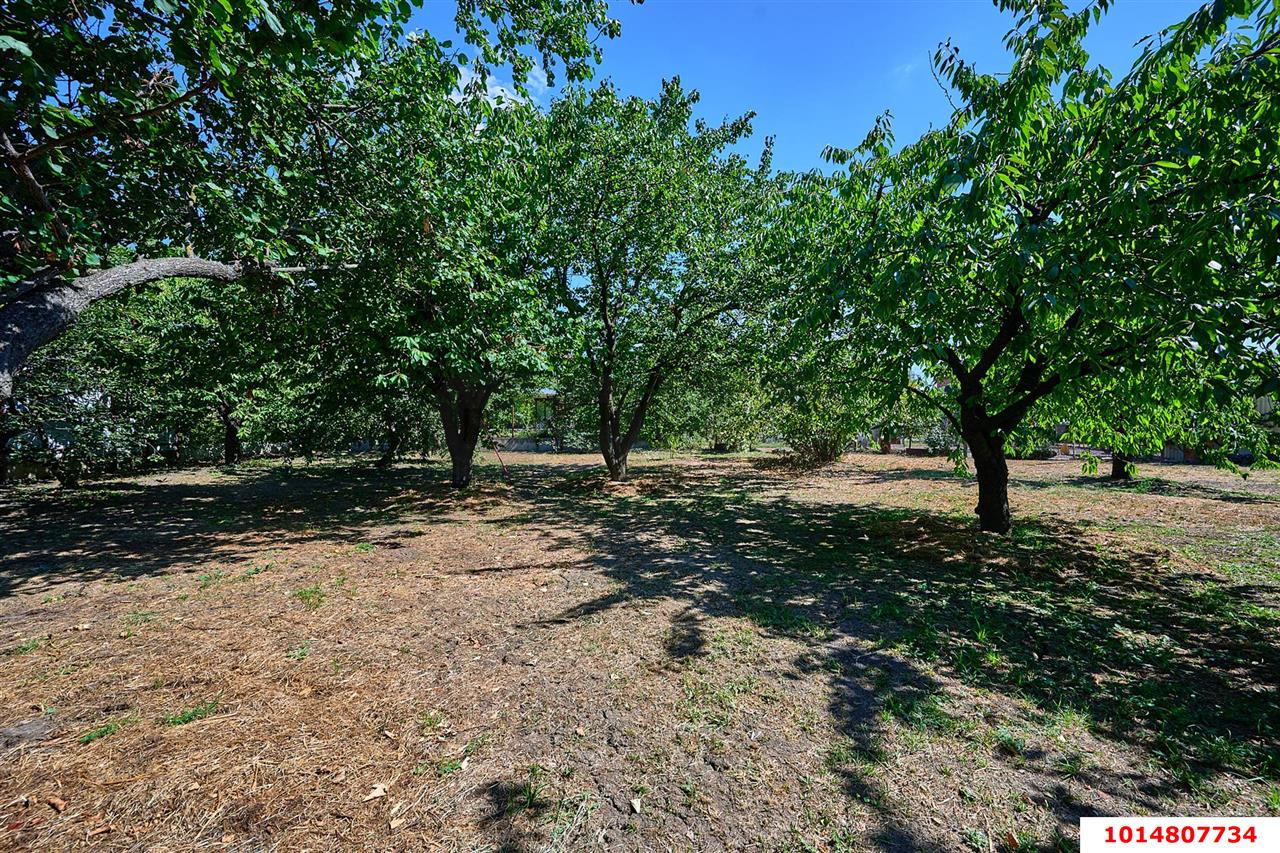 Фото №14: Земельный участок 20 сот. - Новая Адыгея, ул. Шовгенова, 2