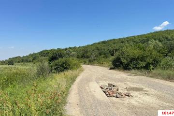 Фото №2: Коммерция 11353 м² - Краснодарский край Северский район