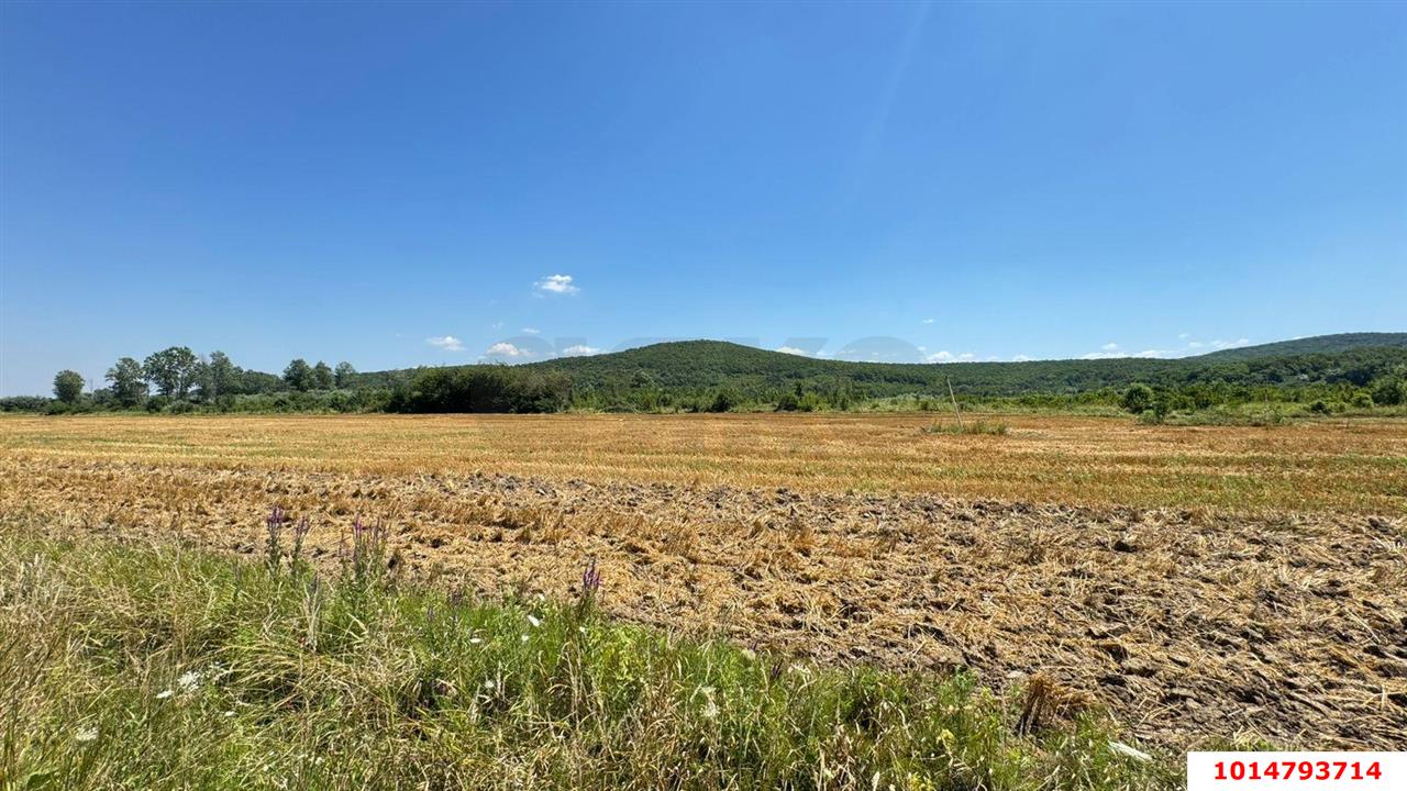Фото №6: Коммерческая земля 11353 сот. - Краснодарский край Северский район