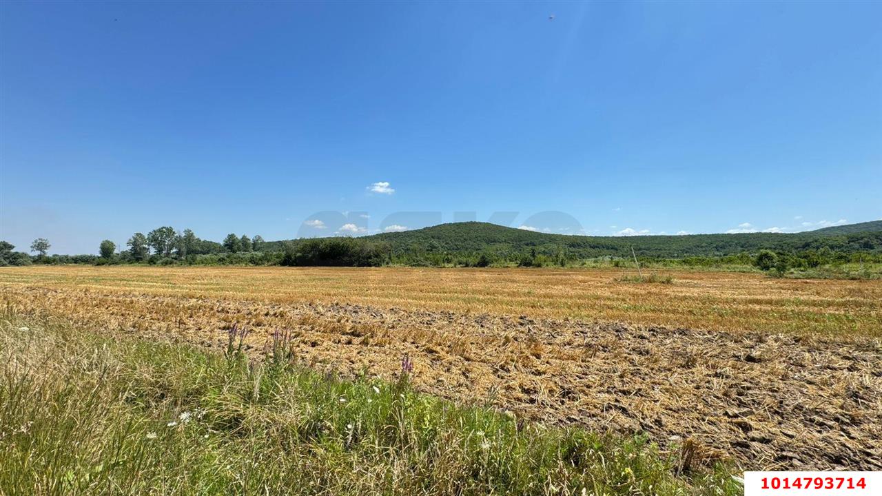 Фото №7: Коммерция 11353 м² - Краснодарский край Северский район