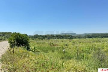 Фото №4: Коммерция 11353 м² - Краснодарский край Северский район